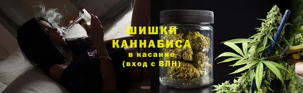 бошки Алексин