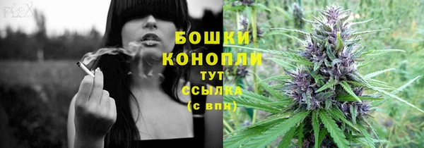 бошки Алексин