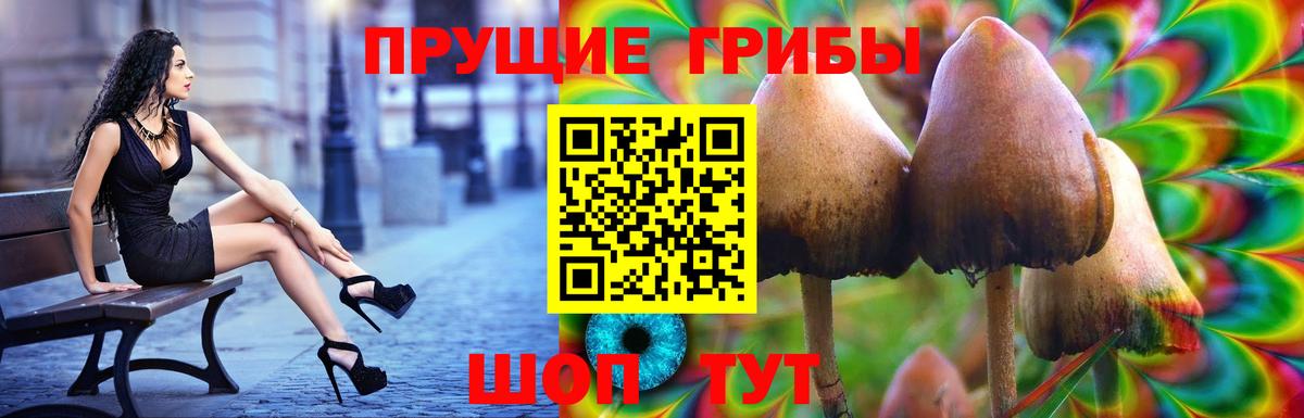 Галлюциногенные грибы Psilocybe  Псилоцибиновые грибы MAGIC MUSHROOMS  Глазов  Вход с VPN 